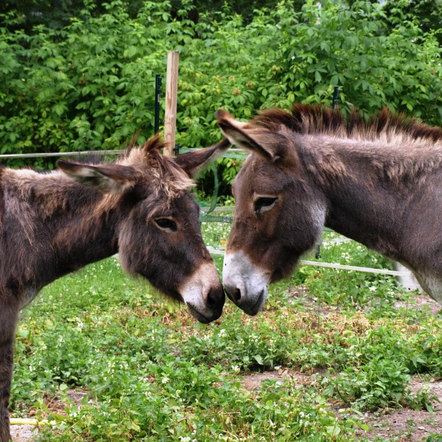 Les Rives De L'Andelle Bed and Breakfast Romilly-sur-Andelle Buitenkant foto